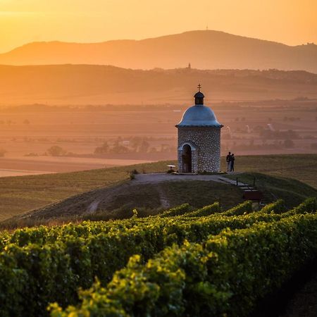 Vinoza - Ubytovani A Vinny Sklep Velke Bilovice Rulandova 외부 사진